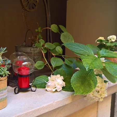 Antichi Feudi Dimora D'epoca Отель Тегджано